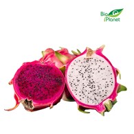 PITAJA ŚWIEŻA BIO (około 0,40 kg)