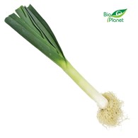 POR ŚWIEŻY BIO (około 0,30 kg)