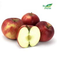 JABŁKA ŚWIEŻE BIO (IDARED - POLSKA) (około 1,00 kg)