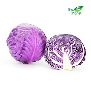 KAPUSTA CZERWONA MŁODA ŚWIEŻA BIO (około 1,00 kg)