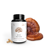 GRZYBY REISHI (LAKOWNICA LŚNIĄCA) BIO (500 mg) 100 KAPSUŁEK - PILZE WOHLRAB