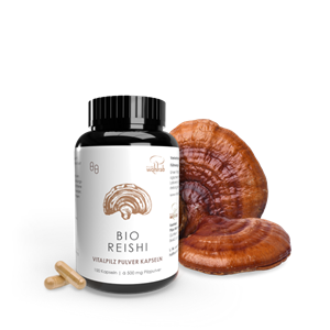 GRZYBY REISHI (LAKOWNICA LŚNIĄCA) BIO (500 mg) 100 KAPSUŁEK - PILZE WOHLRAB