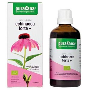 JEŻÓWKA PURPUROWA (ECHINACEA FORTE) KROPLE BIO 100 ml - PURASANA