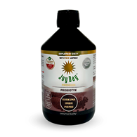 KONCENTRAT NAPOJU PROBIOTYCZNEGO KURKUMA IMBIR PIEPRZ BEZGLUTENOWY BIO 500 ml - JOY DAY