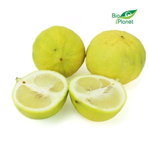 OPAKOWANIE ZBIORCZE (kg) - BERGAMOTKA ŚWIEŻA BIO (około 3 kg)