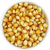 POPCORN (ZIARNO KUKURYDZY) BIO (SUROWIEC) (25 kg)