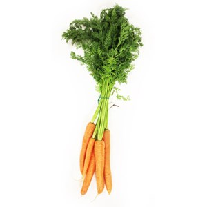 MARCHEW MŁODA Z NATKĄ ŚWIEŻA BIO (około 0,50 kg)