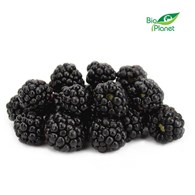 JEŻYNY ŚWIEŻE BIO (około 0,125 kg)