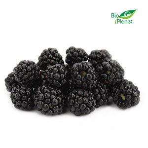 JEŻYNY ŚWIEŻE BIO (około 0,125 kg)