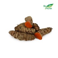 OPAKOWANIE ZBIORCZE (kg) - KURKUMA ŚWIEŻA BIO (około 2 kg)