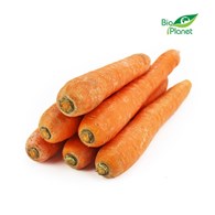 MARCHEW NA SOK ŚWIEŻA MYTA BIO (POLSKA) (około 5,00 kg)