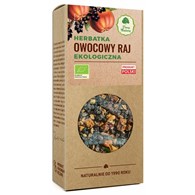 HERBATKA OWOCOWY RAJ BIO 100 g - DARY NATURY