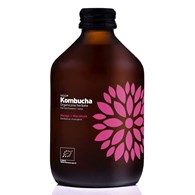 KOMBUCHA Z MANGO I MARAKUJĄ BEZGLUTENOWA BIO 330 ml - VIGO