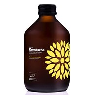 KOMBUCHA Z KURKUMĄ I IMBIREM BEZGLUTENOWA BIO 330 ml - VIGO