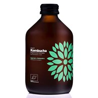 KOMBUCHA Z OGÓRKIEM I KOLENDRĄ BEZGLUTENOWA BIO 330 ml - VIGO