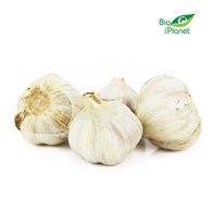 CZOSNEK ŚWIEŻY BIO (POLSKA) (około 150 g)