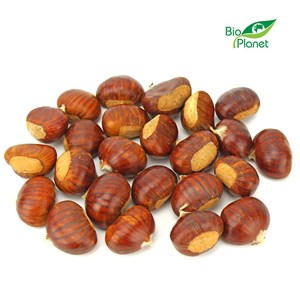 OPAKOWANIE ZBIORCZE (kg) - KASZTANY JADALNE ŚWIEŻE BIO (około 5 kg)