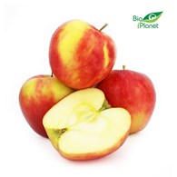 OPAKOWANIE ZBIORCZE (kg) - JABŁKA ŚWIEŻE BIO (EMPIRE - POLSKA) (około 13 kg)