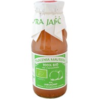 SOK JABŁKOWY NFC BIO 300 ml - TŁOCZNIA MAURERA