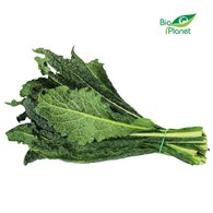 JARMUŻ TOSKAŃSKI ŚWIEŻY BIO (około 0,40 kg)