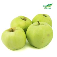 OPAKOWANIE ZBIORCZE (kg) - JABŁKA ŚWIEŻE BIO (IDARED - POLSKA) (około 13 kg)