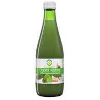 SOK Z OGÓRKA KISZONEGO NFC BEZGLUTENOWY BIO 300 ml - BIO FOOD