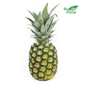 OPAKOWANIE ZBIORCZE (szt) - ANANAS ŚWIEŻY BIO (około 12 sztuk)