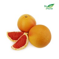 OPAKOWANIE ZBIORCZE (kg) - GREJPFRUTY CZERWONE ŚWIEŻE BIO (około 16 kg)