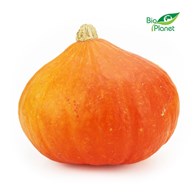 OPAKOWANIE ZBIORCZE (kg) - DYNIA HOKKAIDO ŚWIEŻA BIO (około 9,5 kg)