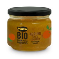 MUS CYTRUSOWY BIO 250 g - MIELIZIA