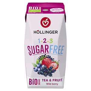 NAPÓJ O SMAKU OWOCÓW LEŚNYCH BEZ CUKRU BIO 200 ml - HOLLINGER